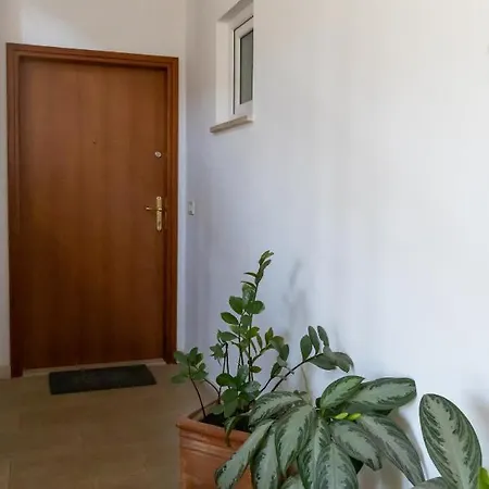 Apartment Elly Novigrad (Istria)