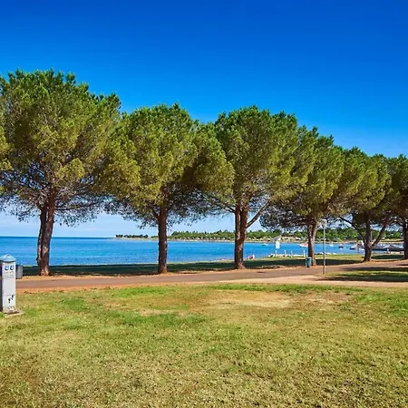 Elly * Novigrad (Istria)