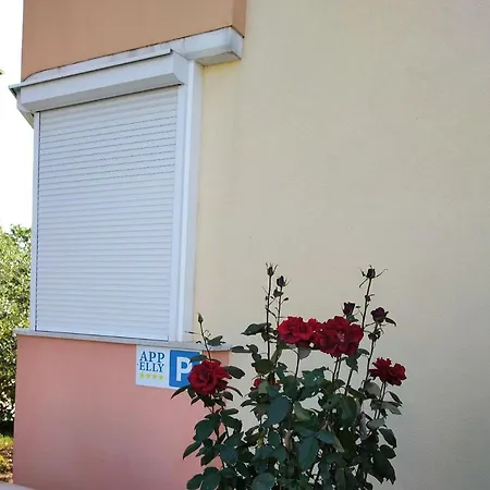 Elly Apartment *
