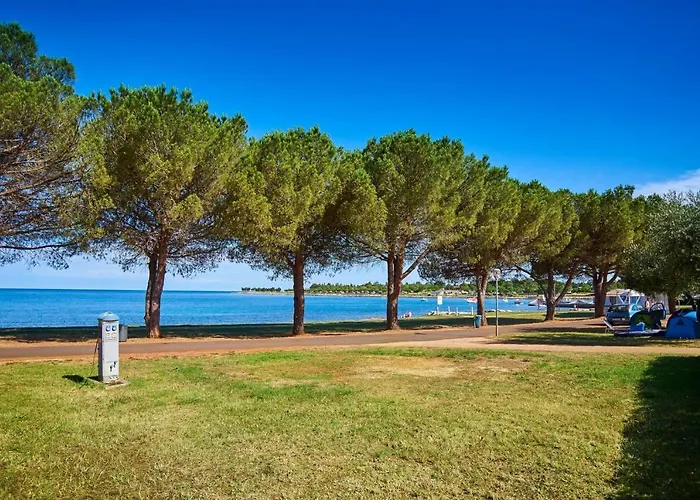 Elly * Novigrad Istria