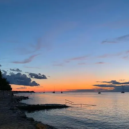 Elly * Novigrad (Istria)