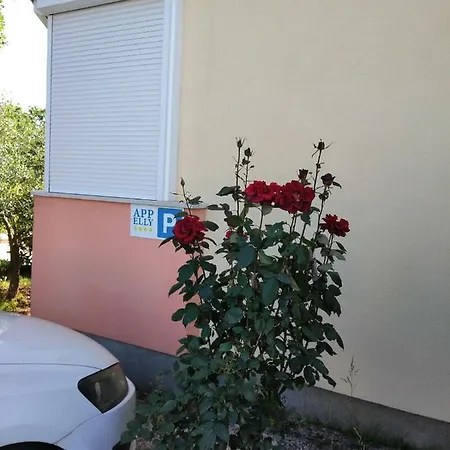 Apartament Elly Novigrad (Istria)